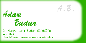 adam budur business card